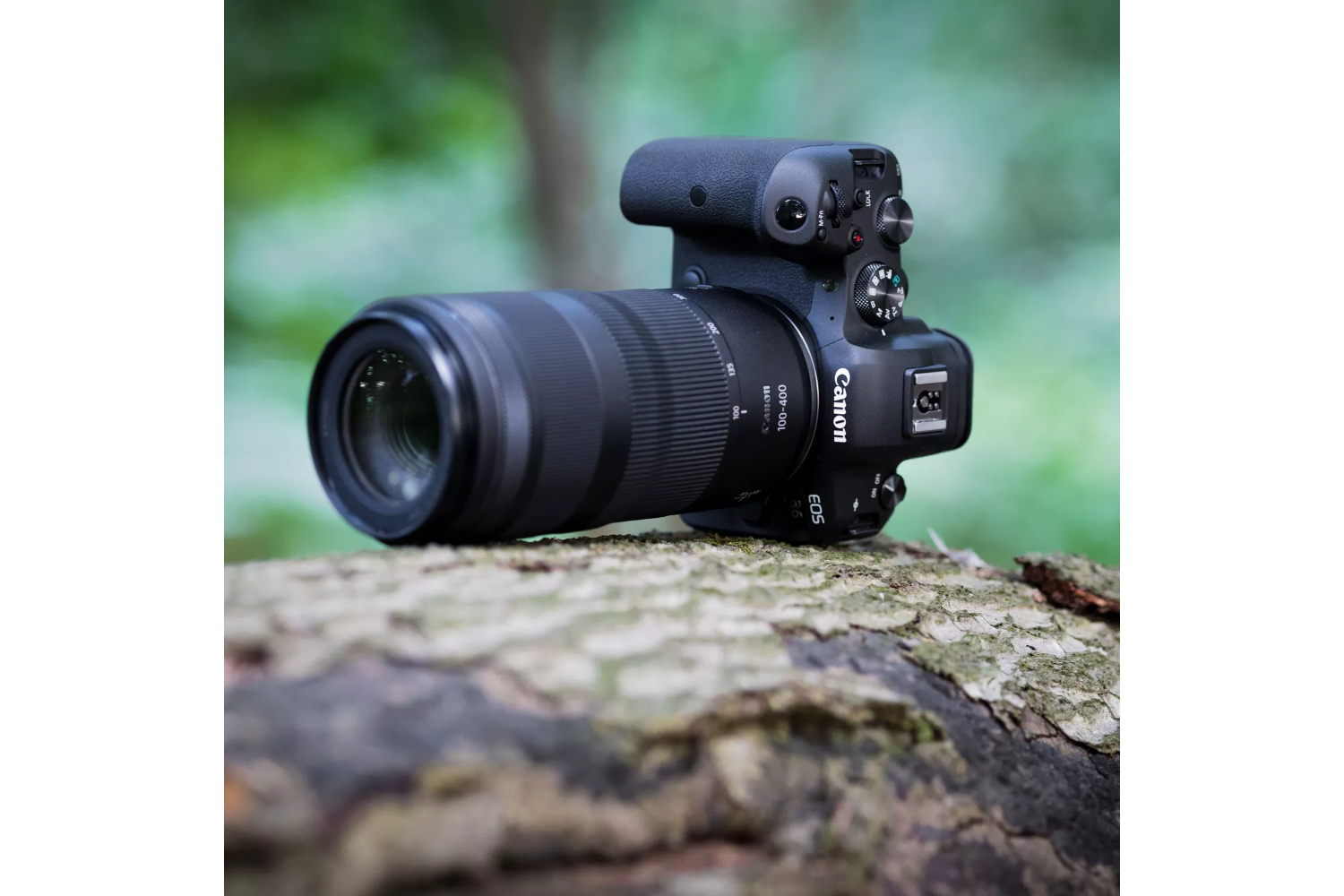 Canon RF 100-400mm F5.6-8 IS USM Lens