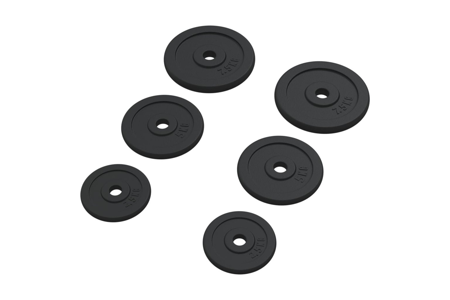 vidaXL 93639 Weight Plates 6 Pcs 30 Kg Cast Iron