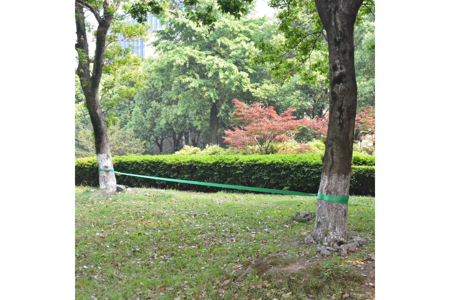 vidaXL 142666 Slackline 15 M X 50mm 150 Kg Green
