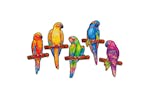 Unidragon 444695 193 Piece Wooden Jigsaw Puzzle Playful Parrots Medium 44x25 Cm
