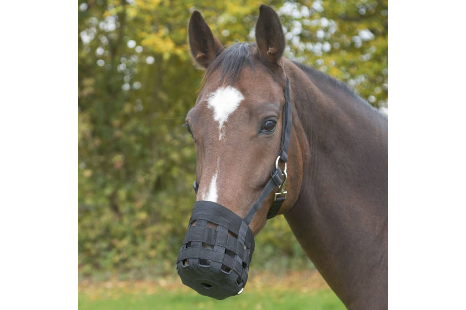 Covalliero Horse Muzzle Pony Black