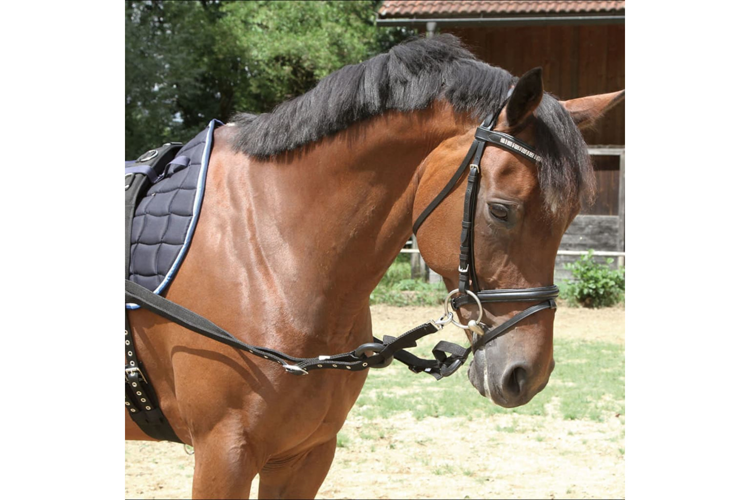 Kerbl 416061 Side Reins 2 Pcs Black Pony 323599