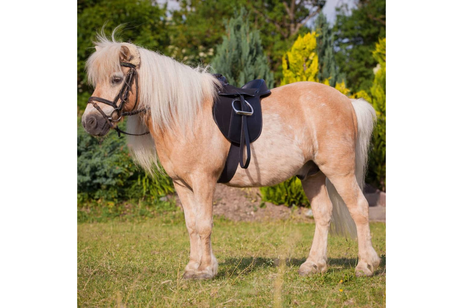 Kerbl Saddle Set Economy Pony 15 325415