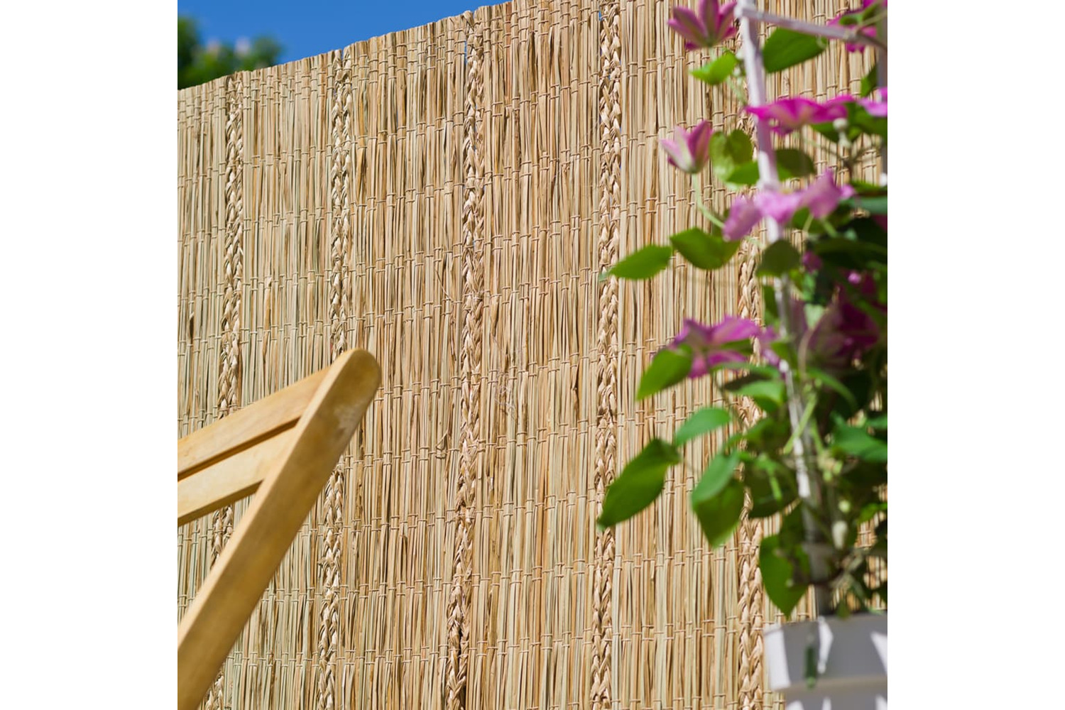 Nature 428511 Garden Screen Carex Sedge 3x1.2m