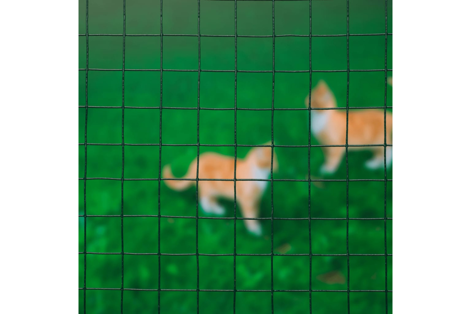 Nature 419776 Wire Mesh Square 0.5x2.5 M 13 Mm Plastic Coated Steel Green