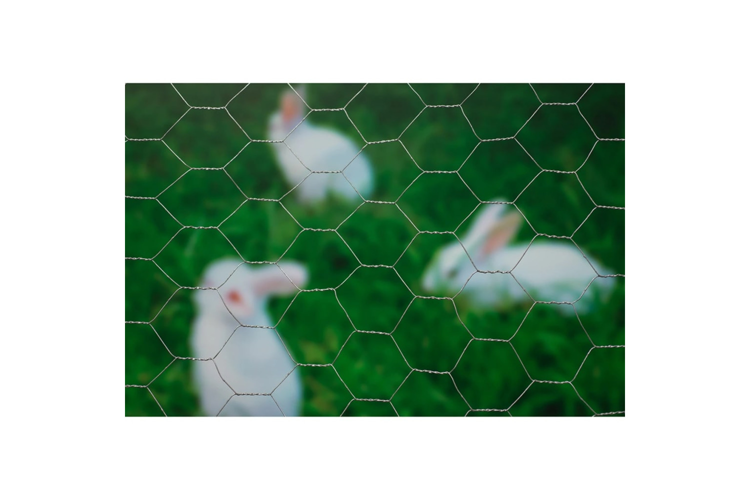 Nature 409374 Wire Mesh Hexagonal 1x5 M 40 Mm Galvanised Steel