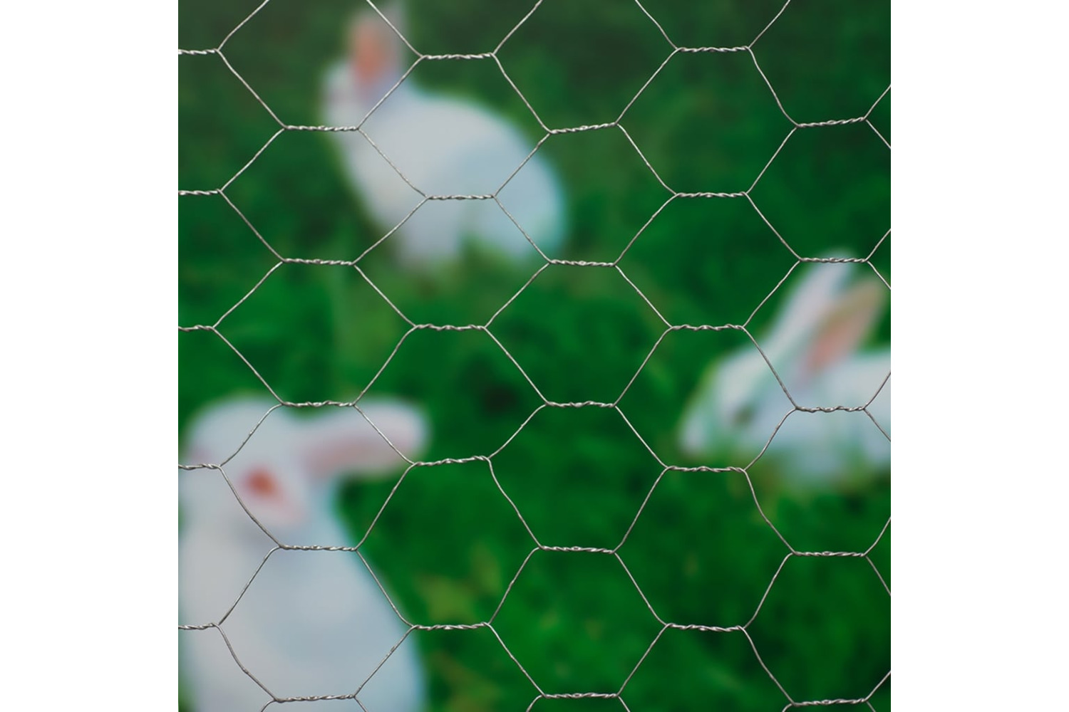 Nature 419770 Wire Mesh Hexagonal 0.5x10 M 40 Mm Galvanised Steel