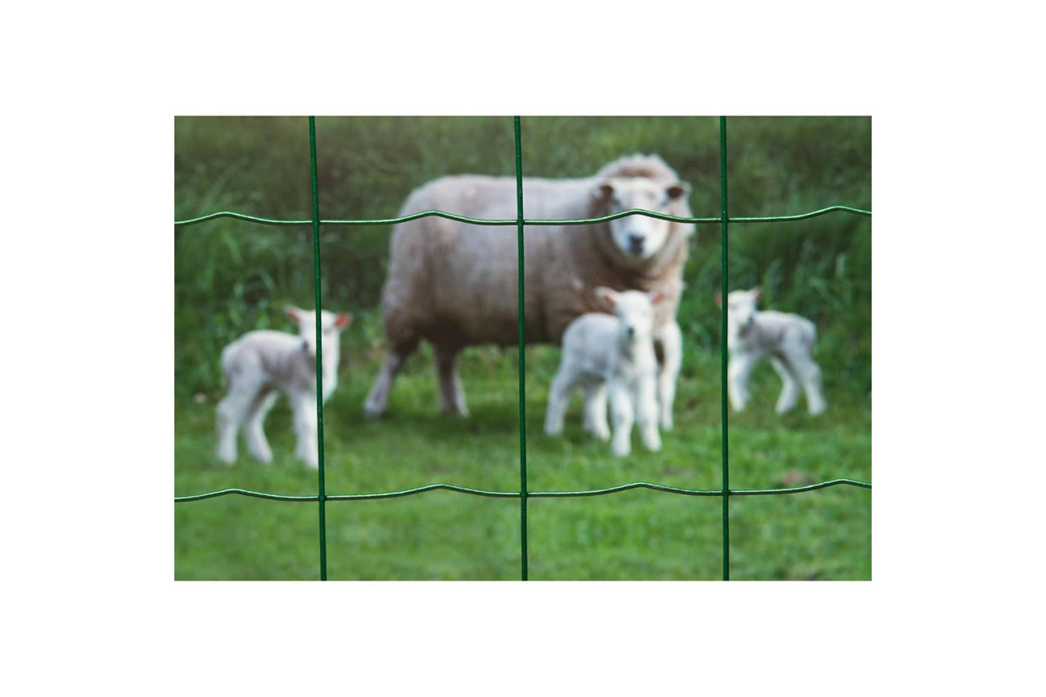 Nature 409381 Wire Mesh Rectangular 0.8x10 M Plastic Coated Steel Green