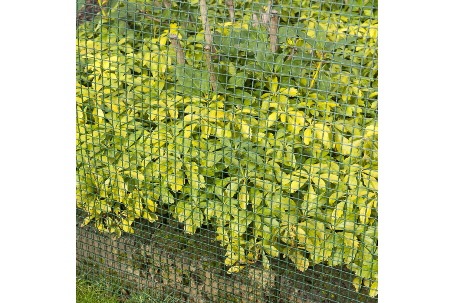 Nature 419764 Garden Screen Square Mesh 5x5 Mm 1x3 M Green