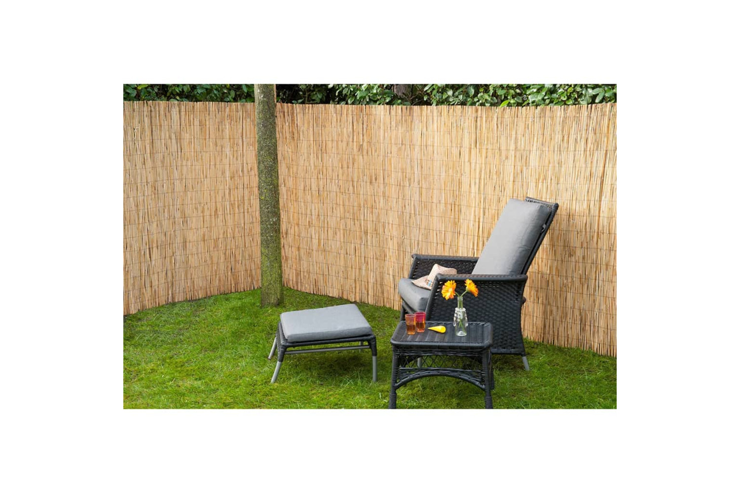 Nature 409355 Garden Screen Bamboo Rush 1.5x5 M