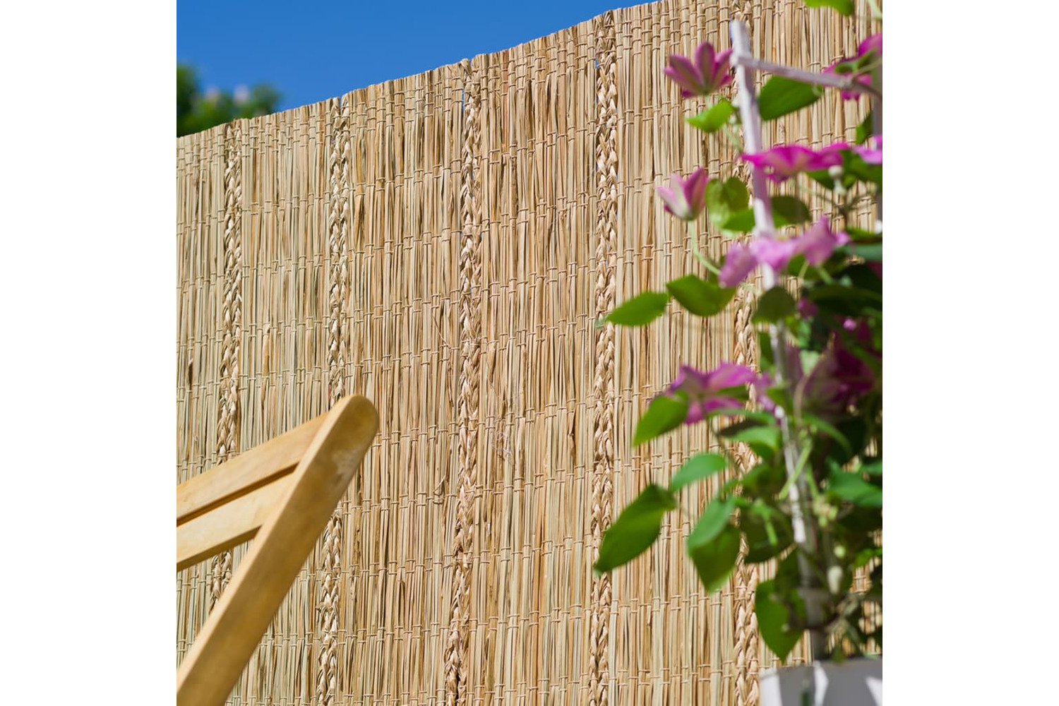 Nature 428510 Garden Screen Carex Sedge 3x1m