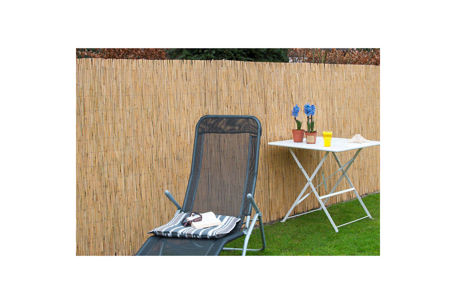 Nature 409359 Garden Screen Reed Mat 1.5x3 M