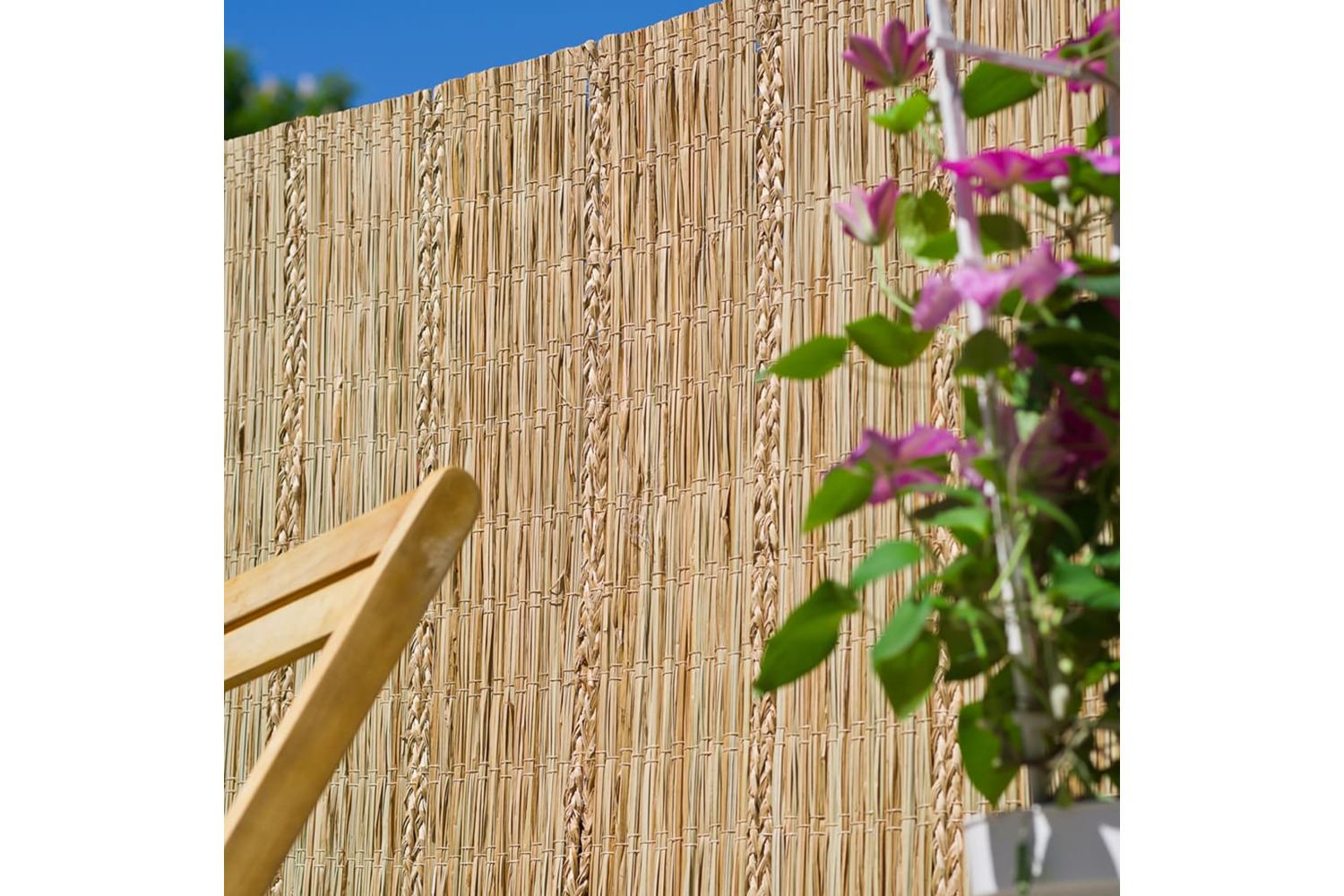 Nature 428512 Garden Screen Carex Sedge 3x1.5m