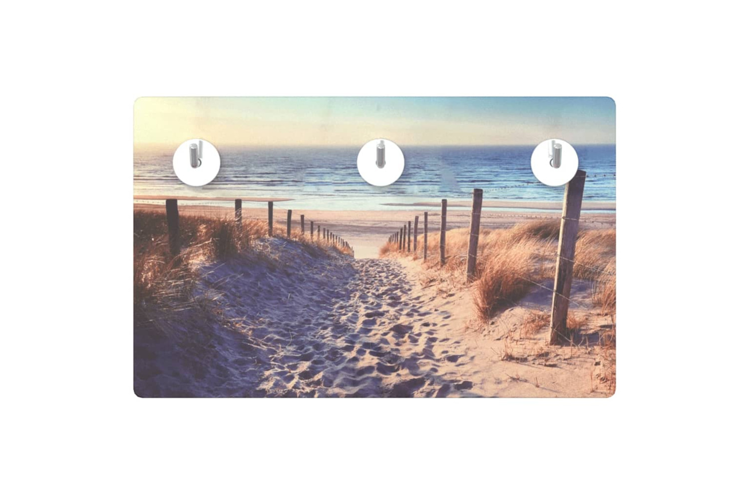 vidaXL 322281 Wall Mounted Coat Rack 40x25cm Tempered Glass Beach