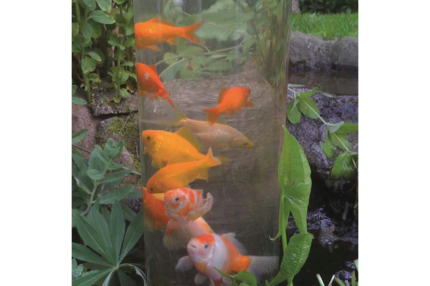 Ubbink 423537 Fish Tower 100 Cm Acrylic