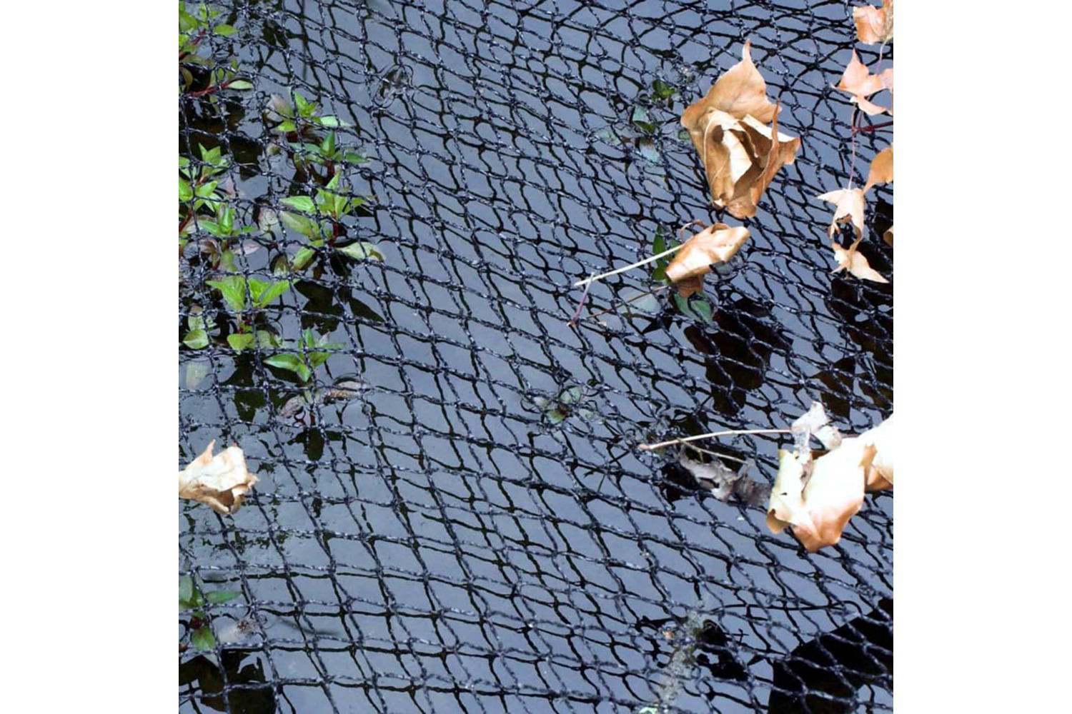 Velda 403208 Cover Net 6 X 10 M For Ponds