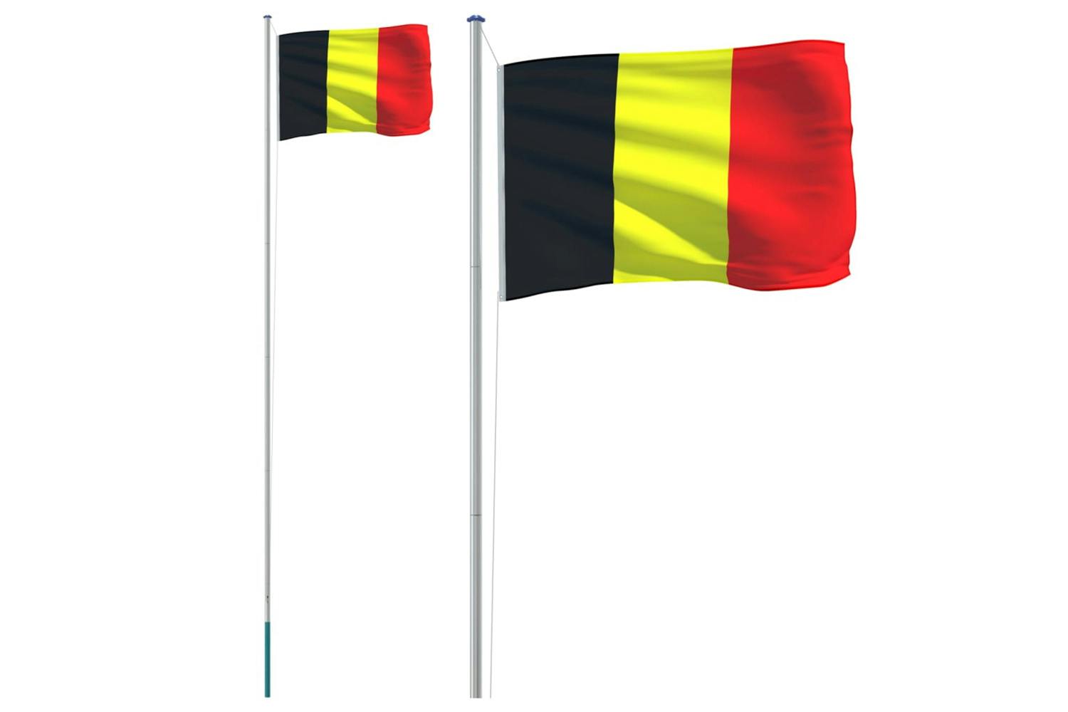 Vidaxl 3147087 Belgium Flag And Pole 6.23 M Aluminium