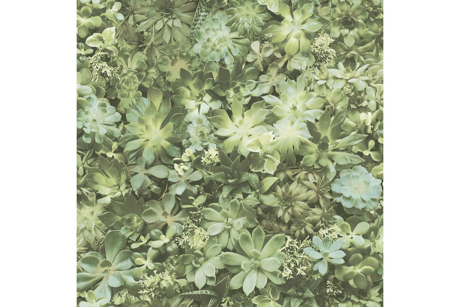 Noordwand 434273 Evergreen Wallpaper Succulent Green And Beige