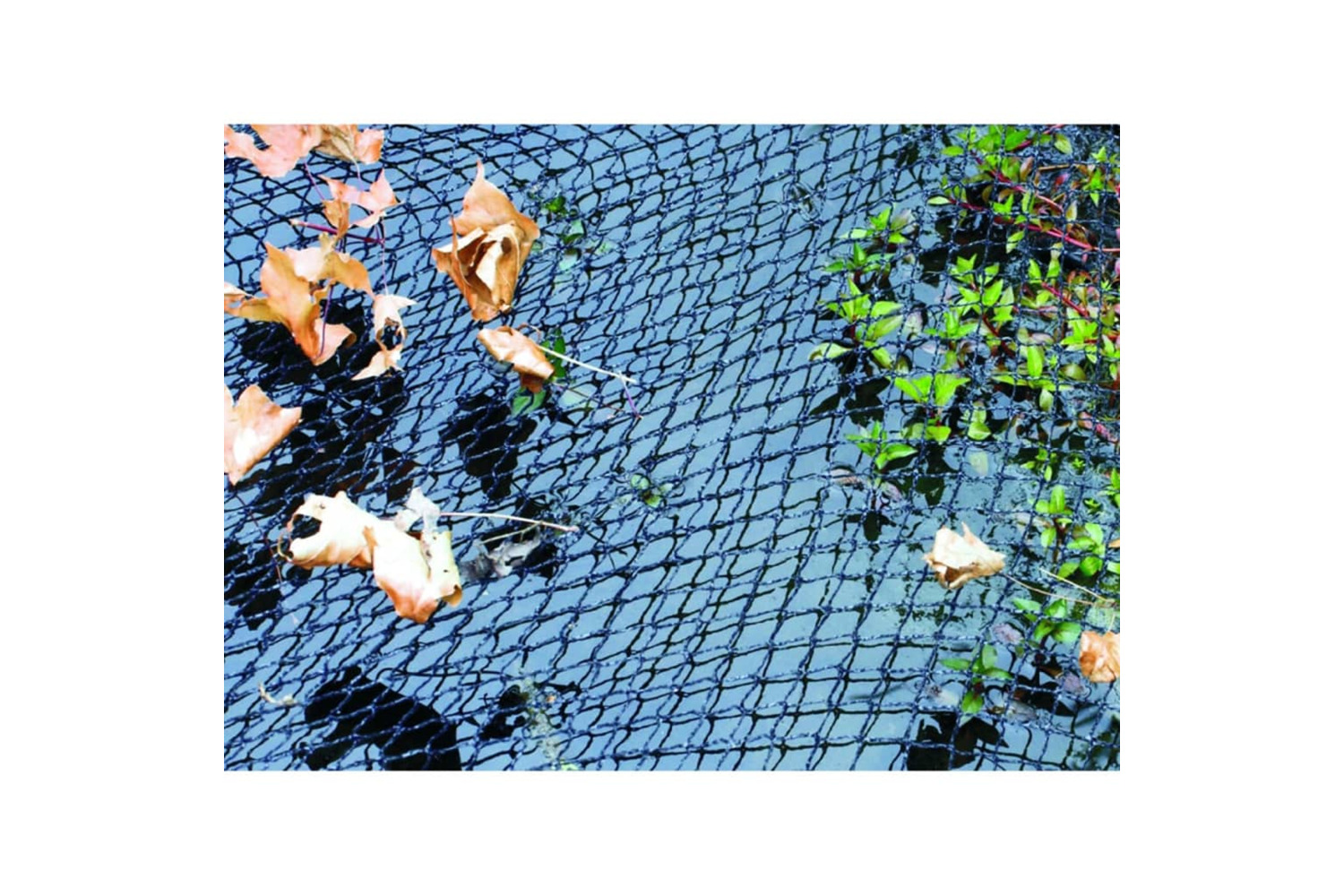 Velda 410160 Vt Pond Netting 6x10 M 148043