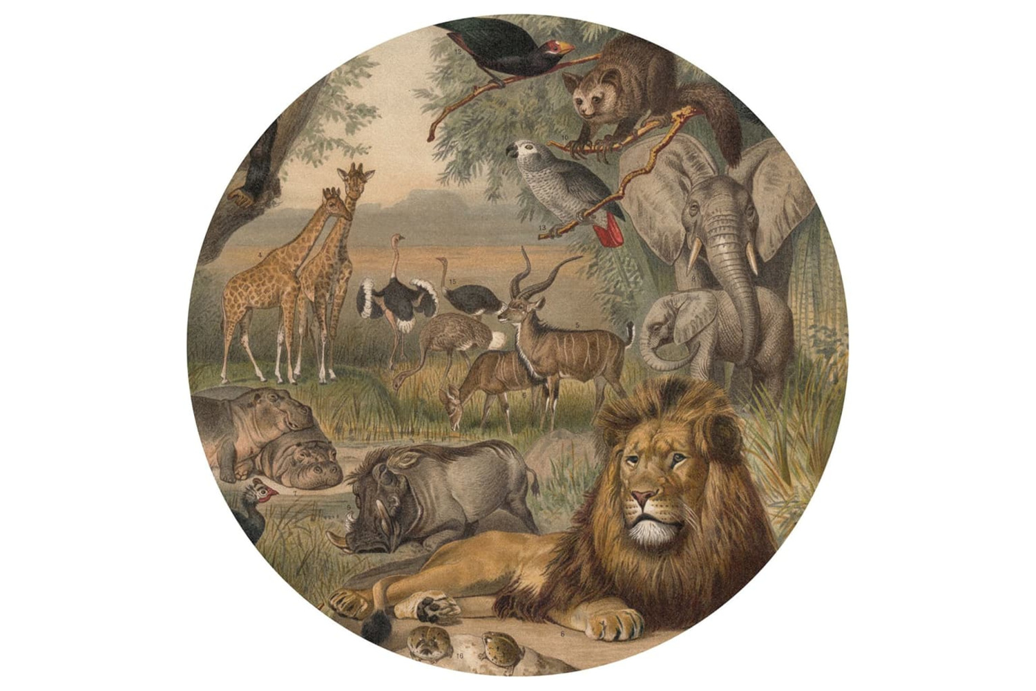 Wallart 440365 Wallpaper Circle Animals Of Africa 190 Cm