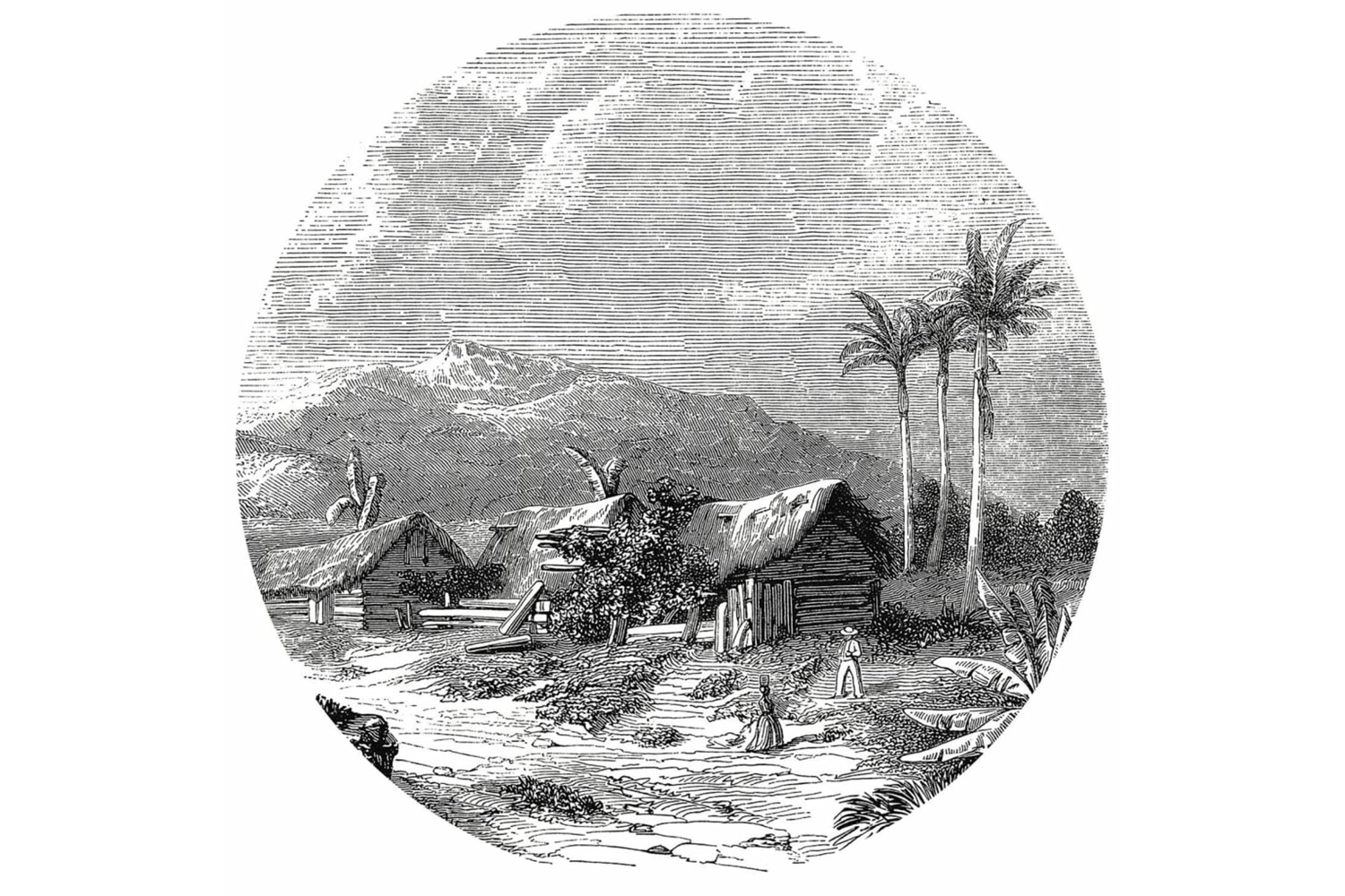 Wallart 440369 Wallpaper Circle Landscape Of Guadeloupe 190 Cm