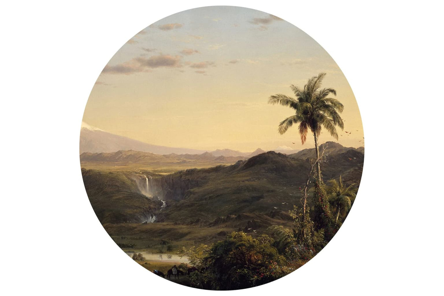 Wallart 440361 Wallpaper Circle The Americas 190 Cm