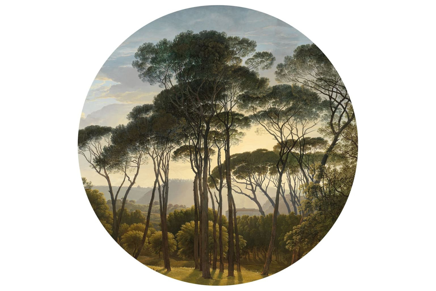 Wallart 440359 Wallpaper Circle Umbrella Pines In Italy 190 Cm