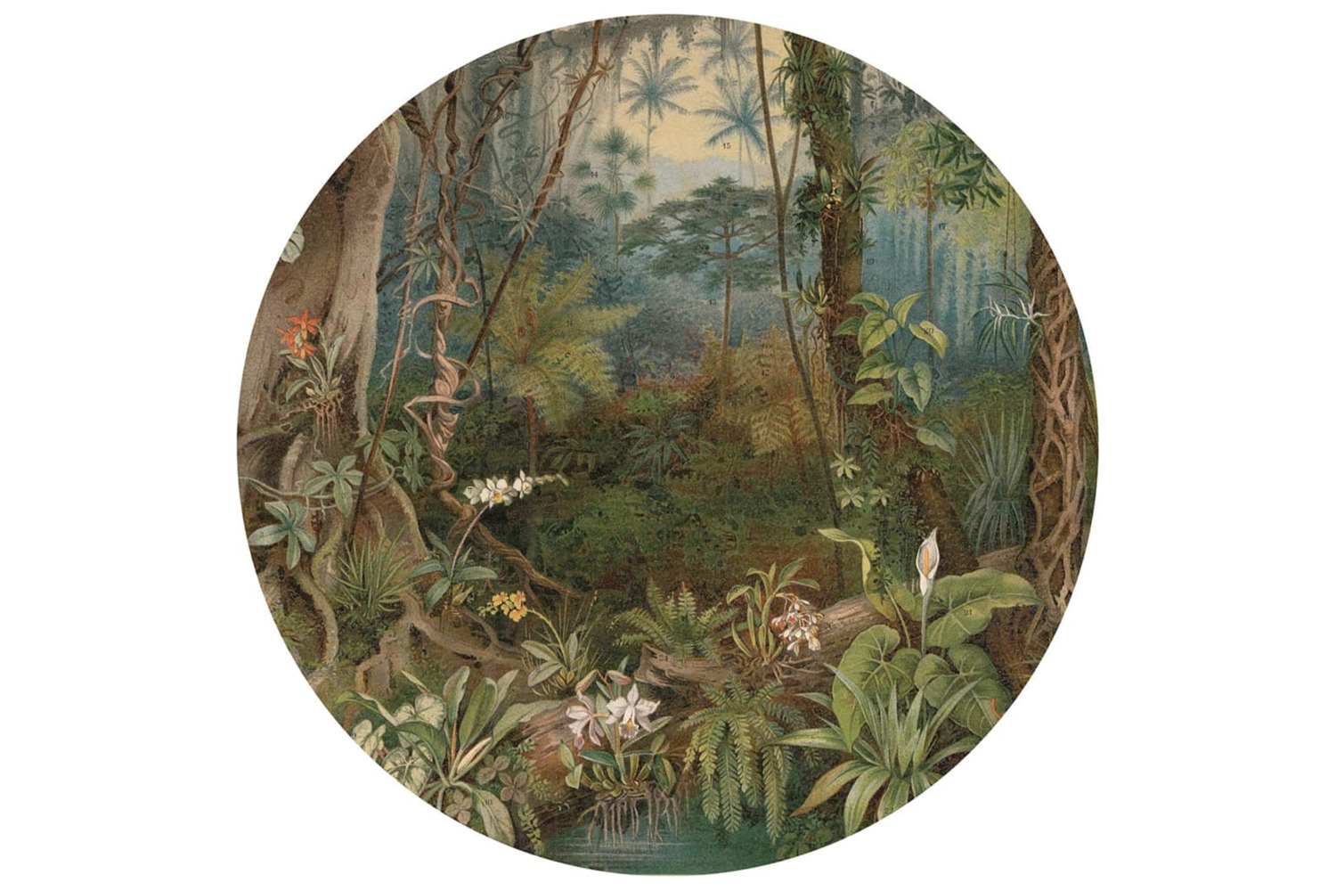 Wallart 440367 Wallpaper Circle In The Jungle 190 Cm