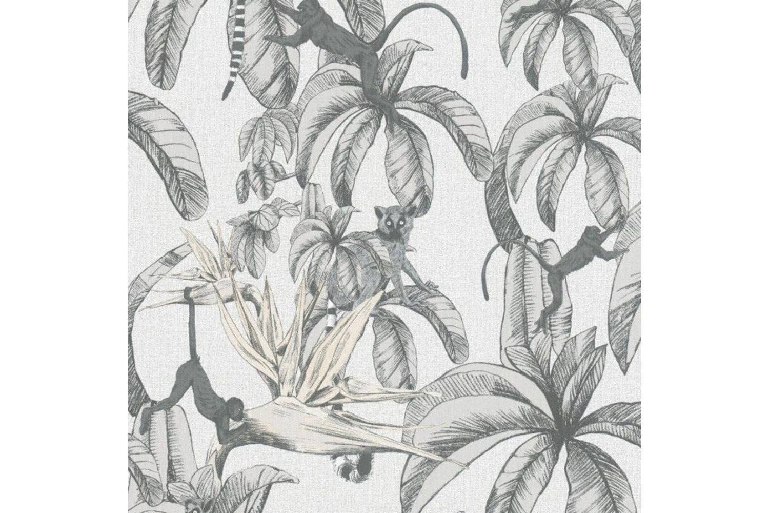 Noordwand 440459 Topchic Wallpaper Monkey Jungle Leaves Grey And Black