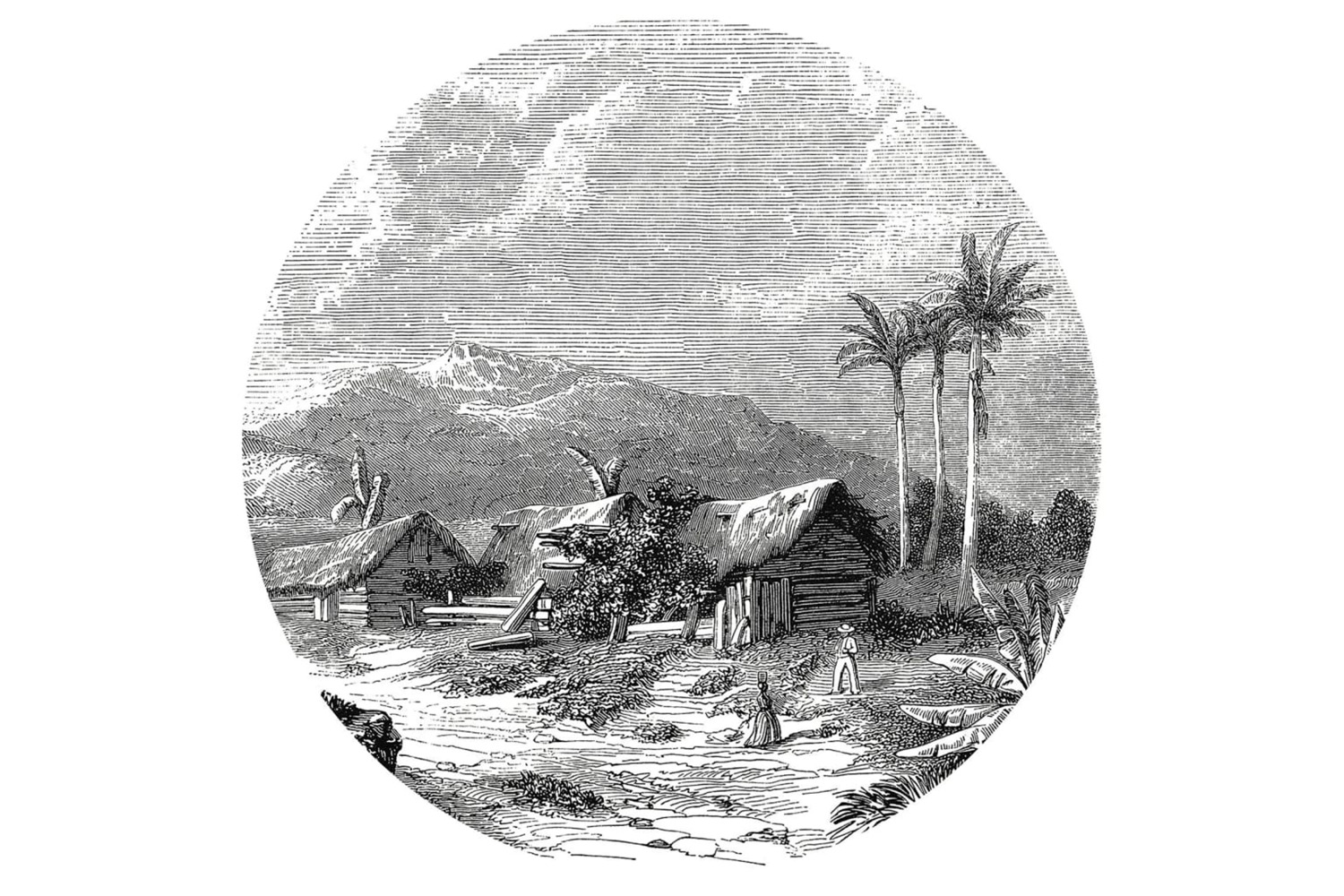 Wallart 440370 Wallpaper Circle Landscape Of Guadeloupe 142.5 Cm