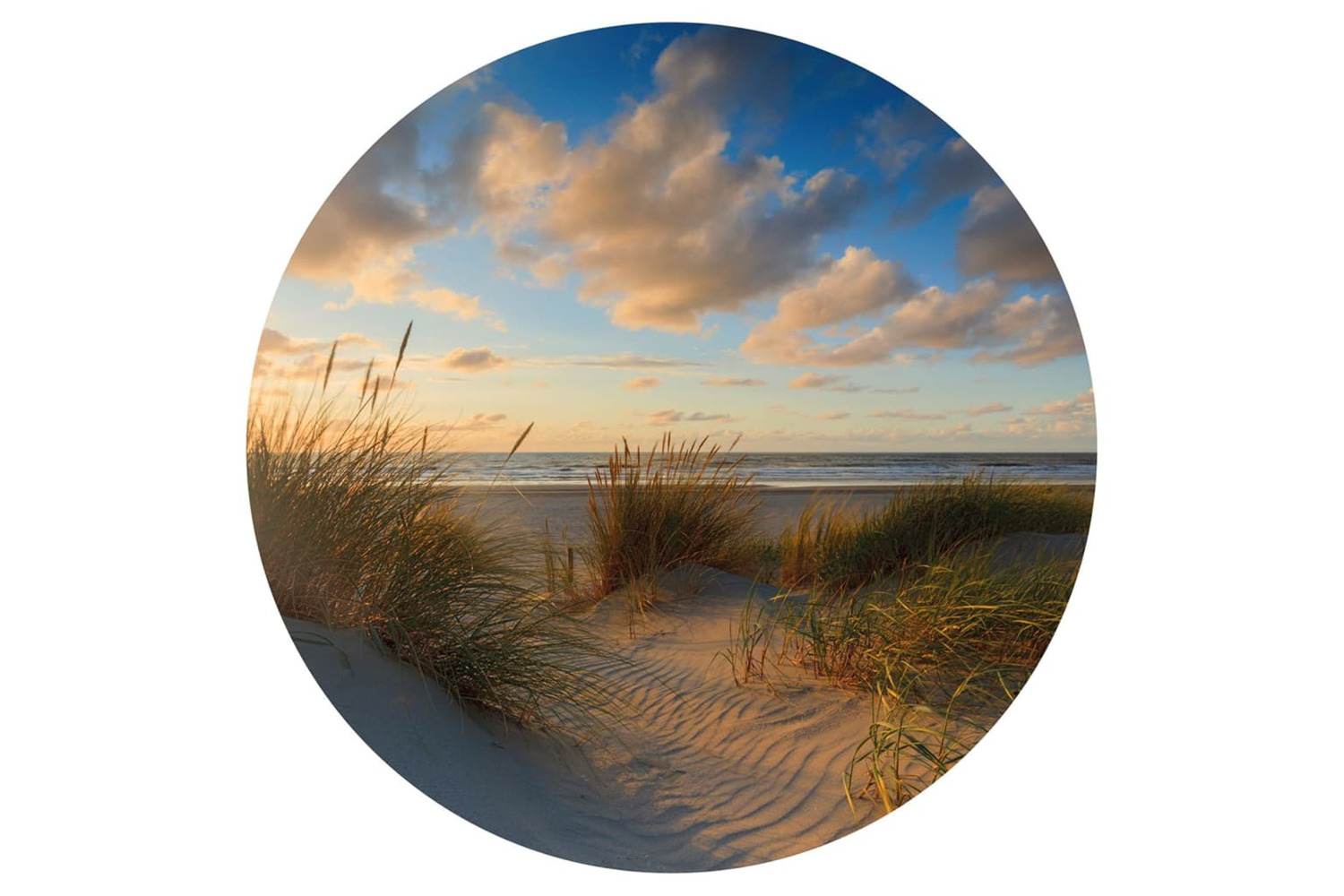 Wallart 440377 Wallpaper Circle Beachlife 190 Cm