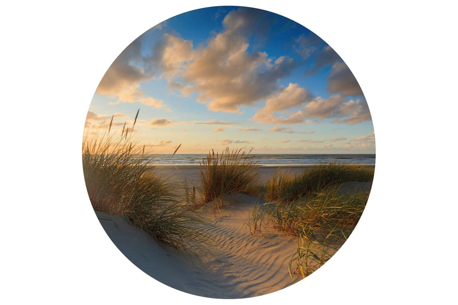 Wallart 440378 Wallpaper Circle Beachlife 142.5 Cm