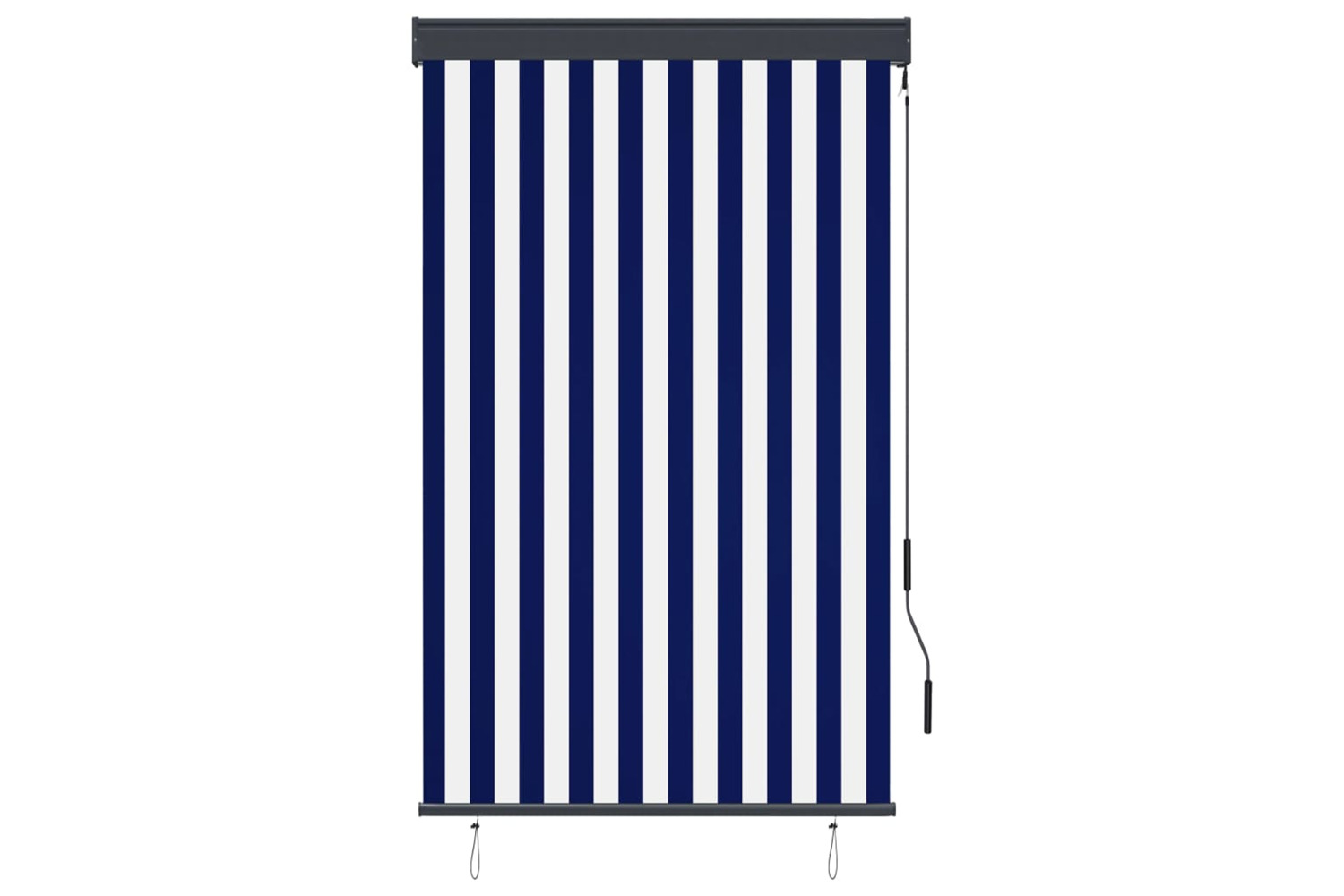 vidaXL 145955 Outdoor Roller Blind 100x250cm Blue And White