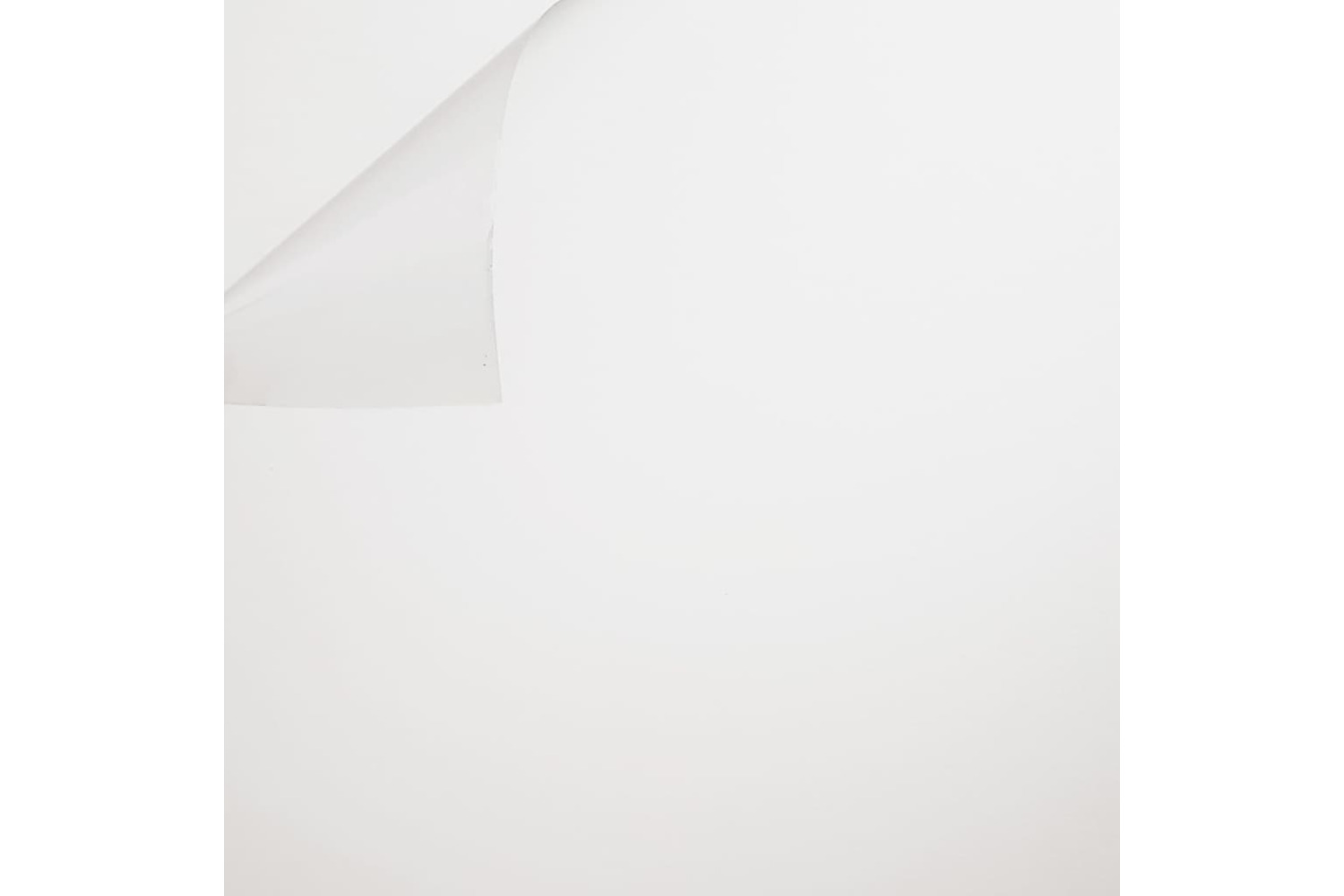 Easyprotec 444078 Easyprotec Permanent Window Film Frosted 90x250 Cm White