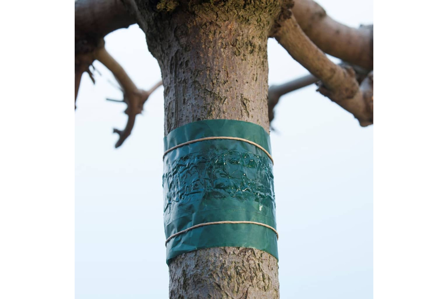 Nature 419797 Pest Control Adhesive Tape 150 Cm 6060134