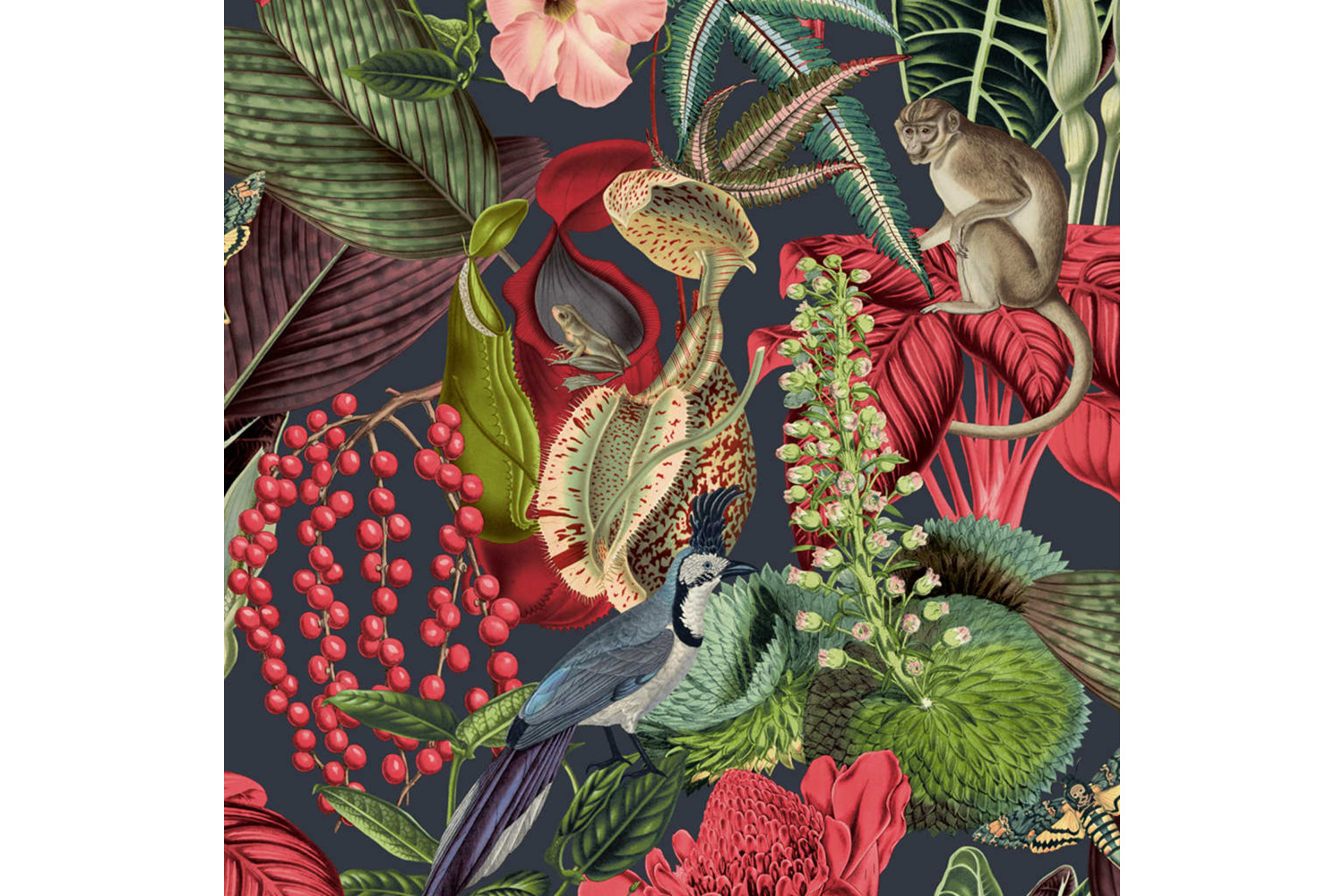 Dutch Wallcoverings 437378 Wallpaper Amazon Multicolour