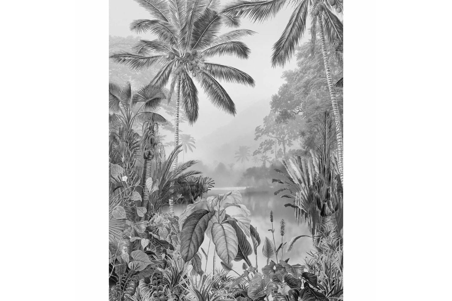 Komar 434248 Photo Mural Lac Tropical Black & White 200x270 Cm