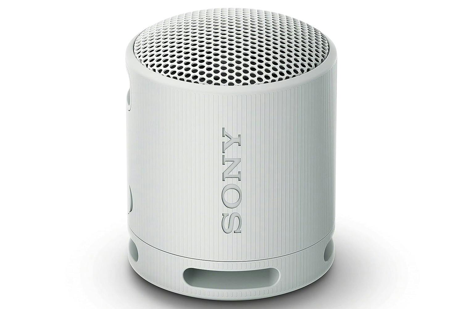 Sony SRS-XB100 Portable Wireless Speaker | Light Grey