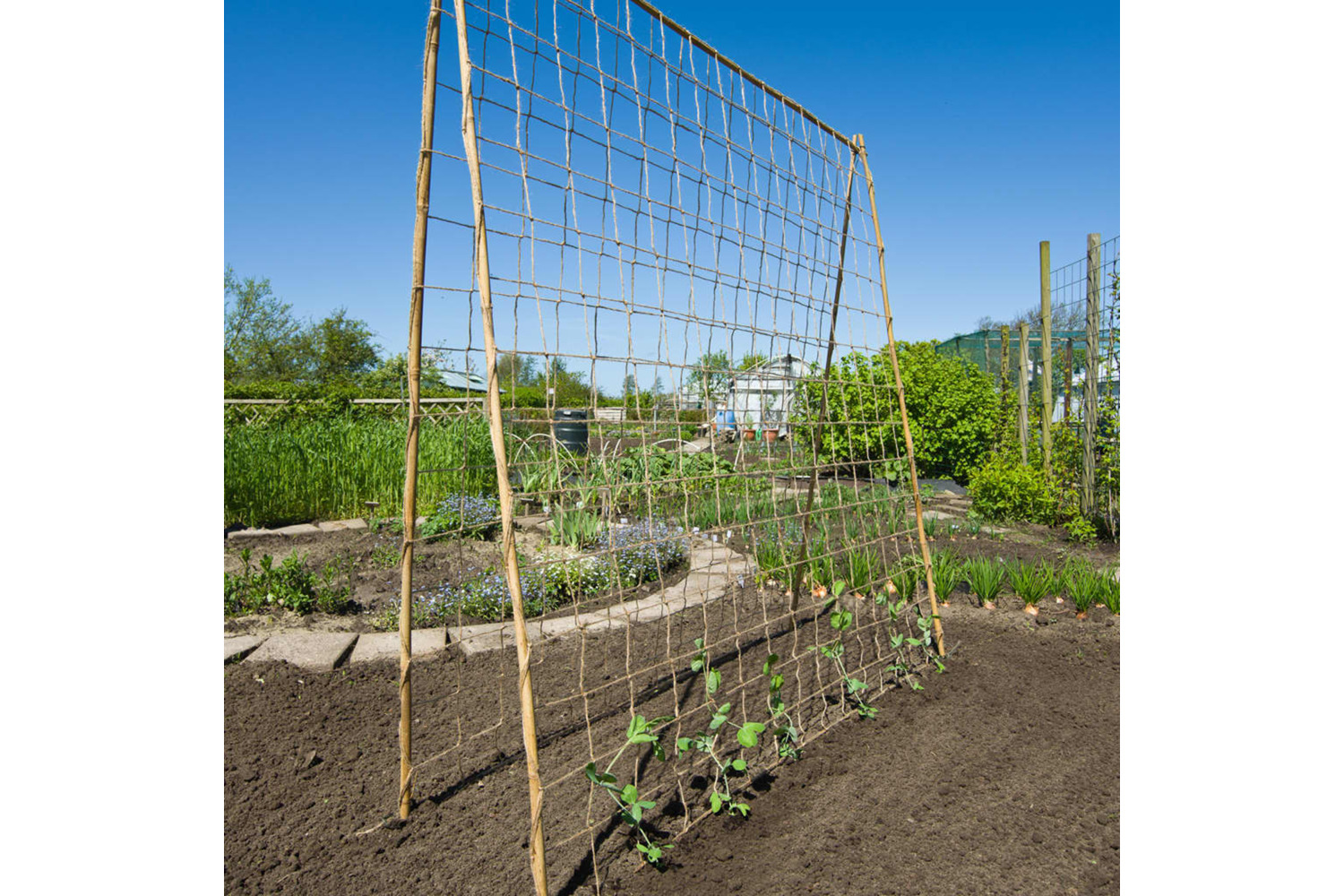 Nature 428490 Plant Climbing Netting Jute 1.8x5 M