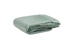 Vidaxl 316444 Greenhouse Replacement Cover (16 Mâ²) 400x400x200 Cm Green