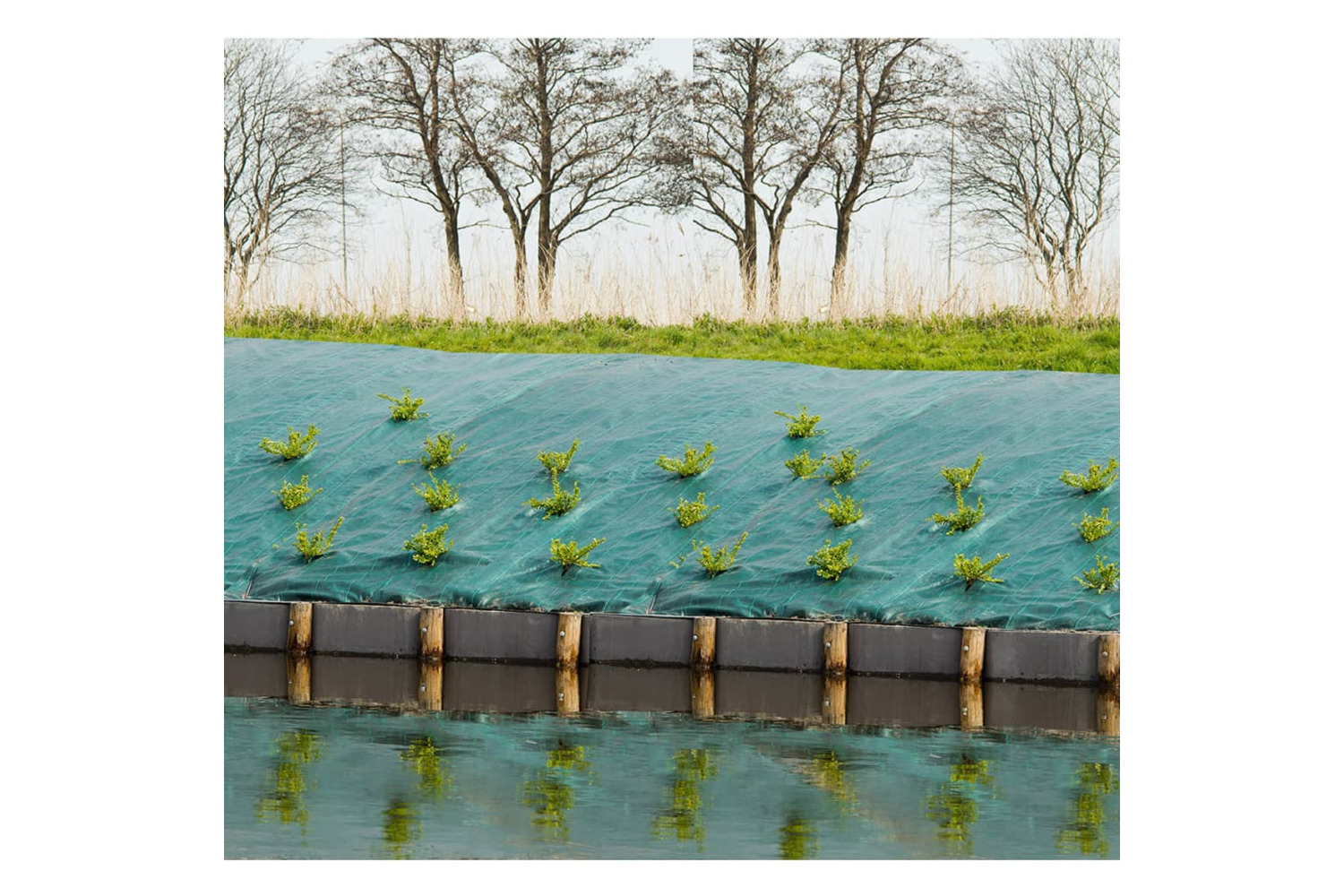 Nature 403706 Weed Control Ground Cover 1x10 M Green