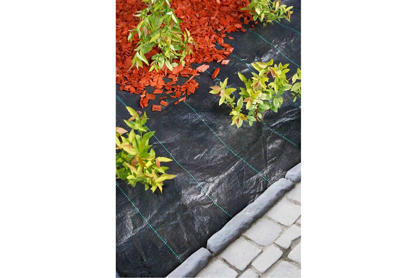 Nature 403702 Weed Control Ground Cover 2x5 M Black