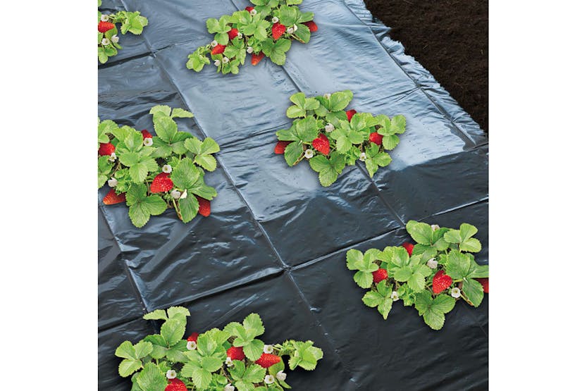 Nature 419717 Mulch Sheet For Strawberries 1.4x20 M 6030231