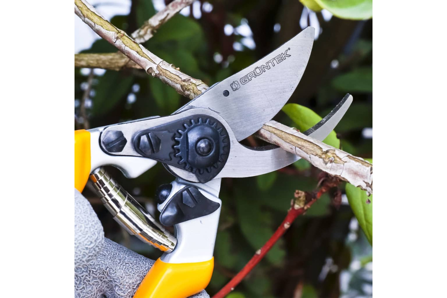Gruntek 444973 Bypass Pruning Shears Z-25 For Left Handers 215 Mm