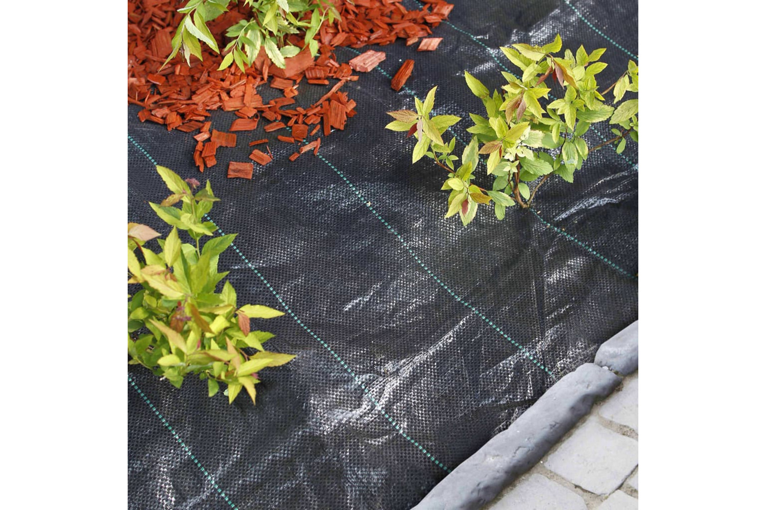 Nature 423489 Weed Control Ground Cover 1x50 M Black