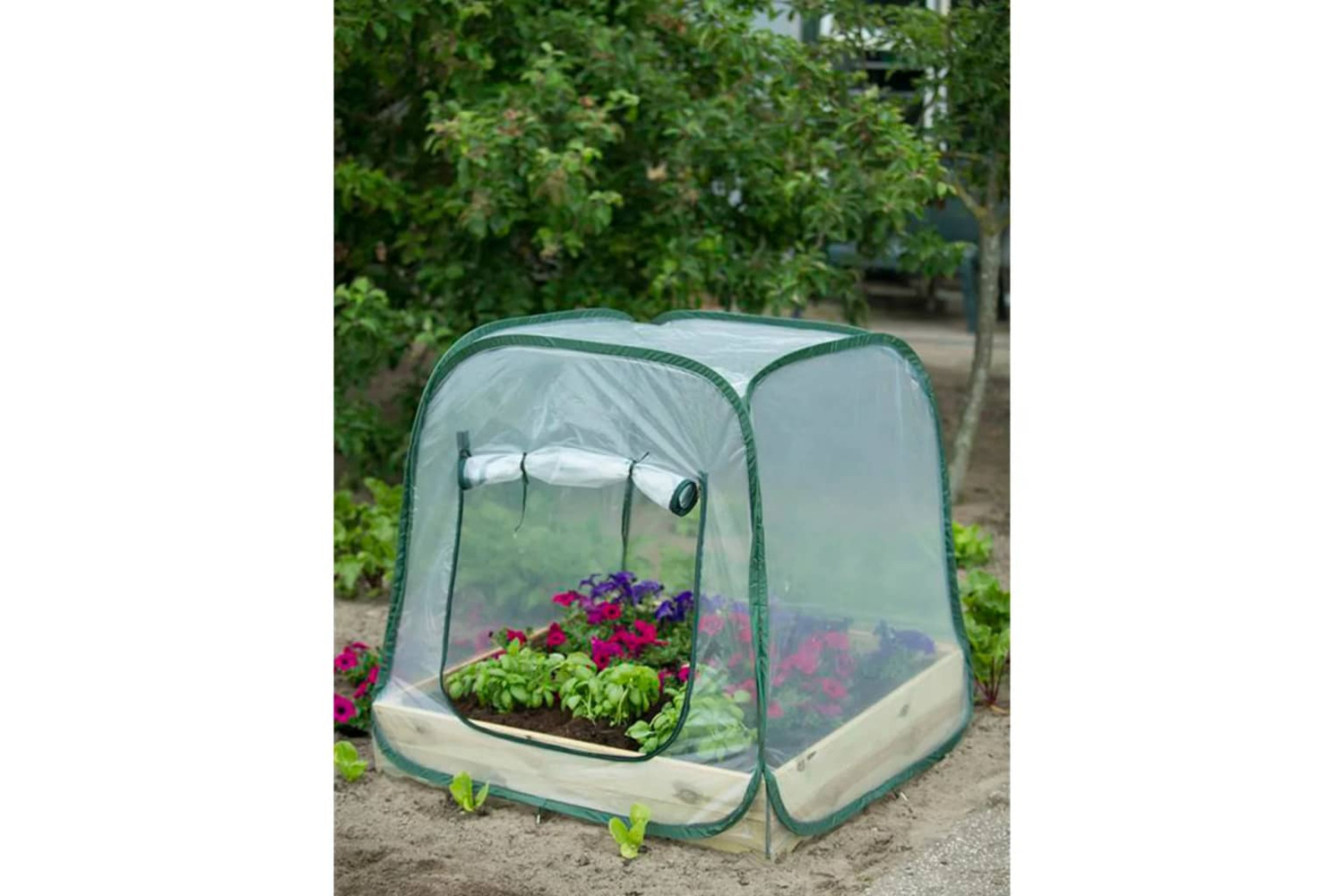 Nature 403673 Pop Up Greenhouse 100 X 100 X 100 Cm 6020408