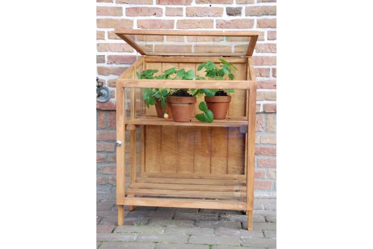 Esschert Design 404638 Greenhouse Hardwood Small Gt32