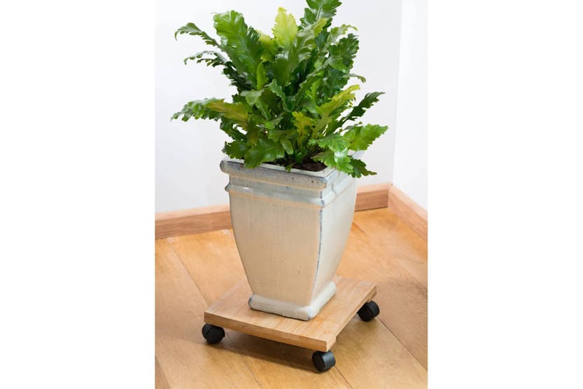Nature 446404 Plant Trolley Square 30x30 Cm Brown Bpc