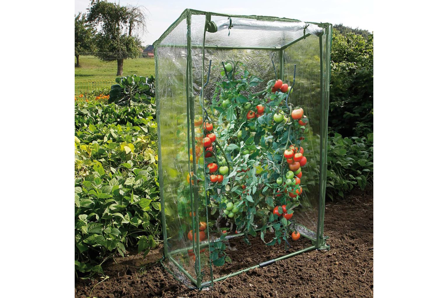 Nature 428492 Tomato Greenhouse 100x50x150 Cm