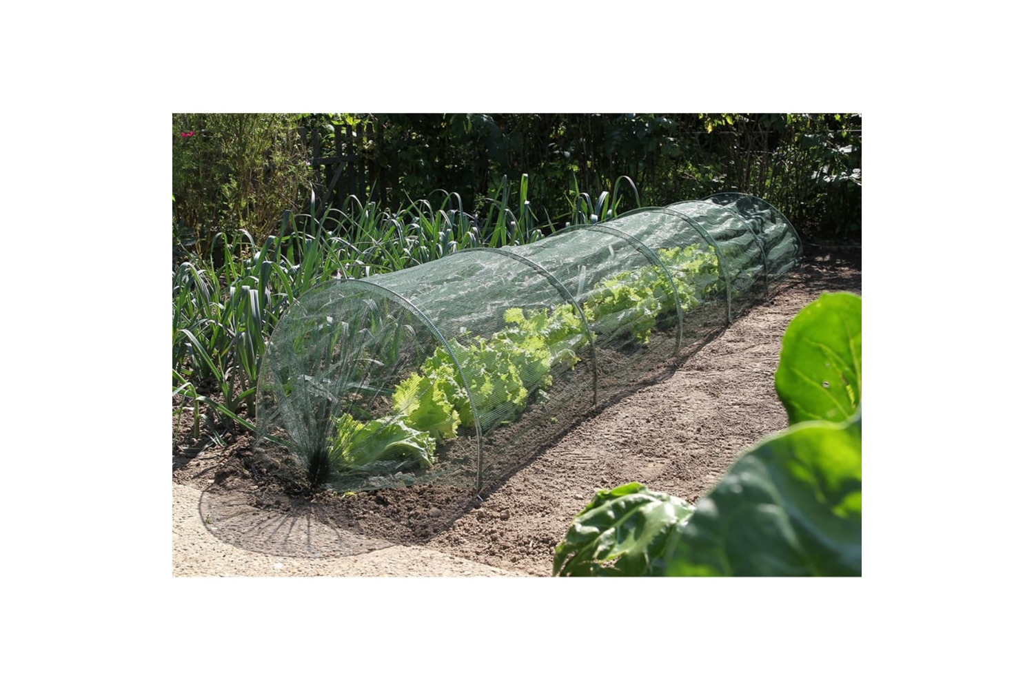 Nature 403681 Garden Tunnel Set 6030204